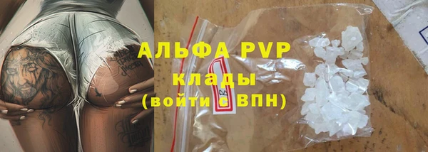 стаф Арсеньев