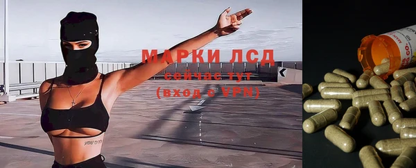 кокс Аркадак
