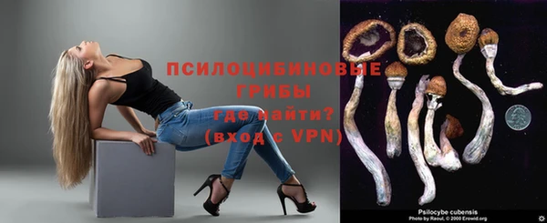 винт Армянск