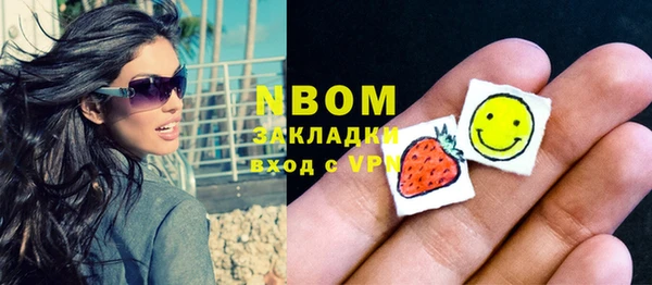 стаф Арсеньев