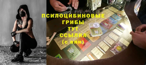 винт Армянск