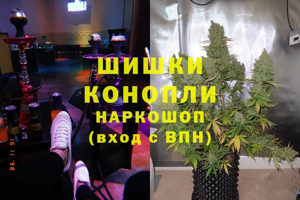 стафф Алзамай