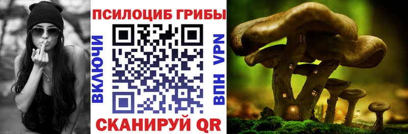 сколько стоит  Гвардейск  Псилоцибиновые грибы Magic Shrooms 